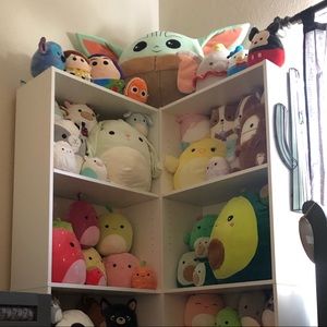 Meet your Posher, Samantha